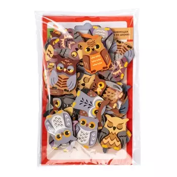 Игра настольная мемо «Совы» Far far land wood (24 фишки в коробке)