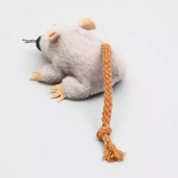 Игрушка для кошек «Грызун», 8.5 см, микс