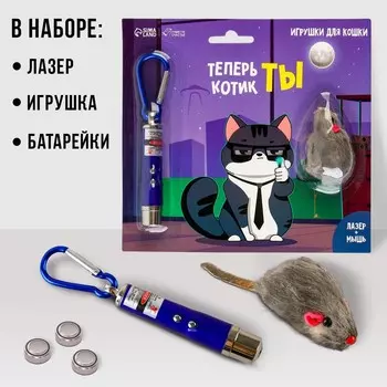Игрушка для кошек лазер+мышь «Теперь котик ты»