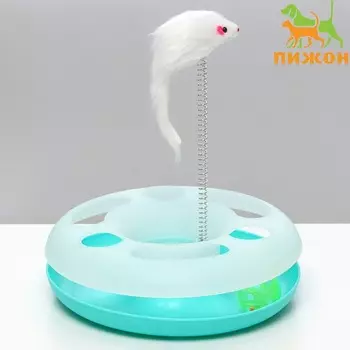 Игрушка для кошек "Загадочный круг" с дразнилкой и шариком, 24 х 24 х 7 см, бирюзовая