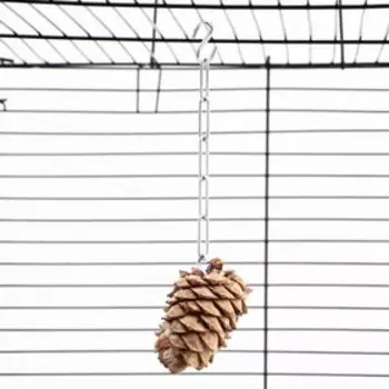 Игрушка для птиц "Шишка" на цепочке, 8 см