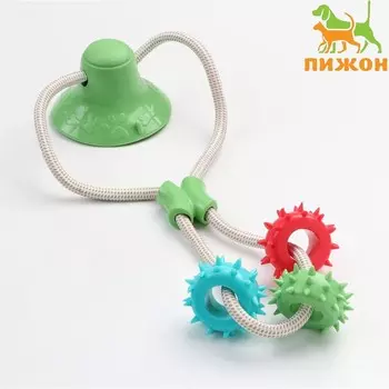 Игрушка для собак «Кольца с шипами на присоске», 40 см, зелёная/голубая/красная