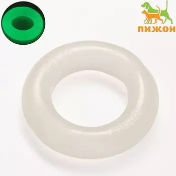 Игрушка для собак «Кольцо», светящаяся в темноте, 9.5 см