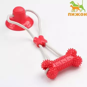 Игрушка для собак «Кость на присоске», 40 см, красная