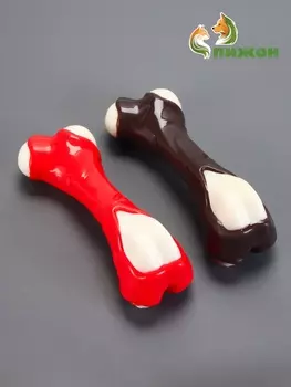 Игрушка для собак «Кость» Пижон Premium, 12 см, TPR+нейлон, микс цветов