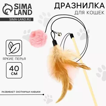 Игрушка дразнилка для кошек с пером и помпоном «Кошечка», розовый