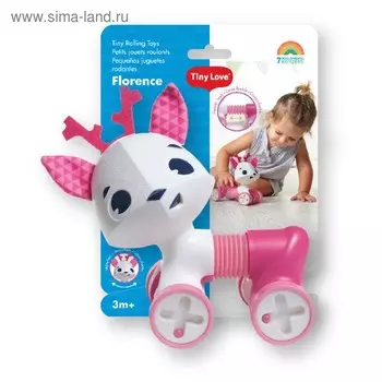 Игрушка-каталка «Флоренс»