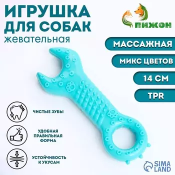 Игрушка массажная для собак «Ключ» 14 см, ТПР, микс цветов