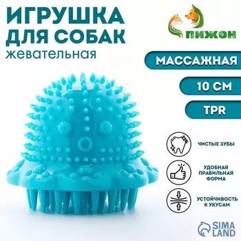 Игрушка массажная для собак «Осьминог» 10 см, ТПР, синяя