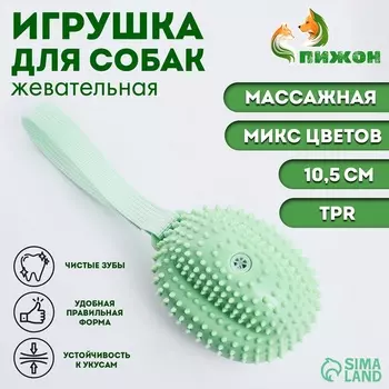 Игрушка массажная пищащая для собак «Фрукт»,10.5 см, ТПР, микс цветов