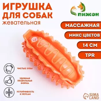 Игрушка массажная пищащая для собак "Хот-дог" 11 см, ТПР, микс цветов