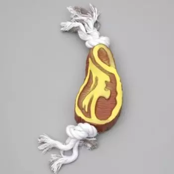 Игрушка на канате «Отбивная» для собак, (игрушка 11.5 см), до 70 г