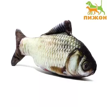 Игрушка «Рыба моей мечты!» с кошачьей мятой, карась, 20 см