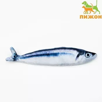 Игрушка «Рыба моей мечты!» с кошачьей мятой, сайра, 20 см