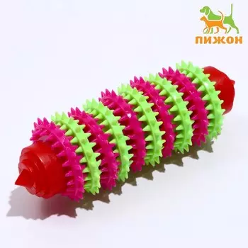 Игрушка жевательная 15,5 х 5,5 см, красная/розовая/зелёная