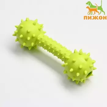 Игрушка жевательная «Грозная гантель», 155 см, салатовая