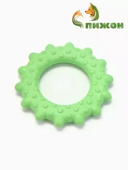 Игрушка жевательная «Кольцо с шипами», TPR, 8.5 см, зелёная