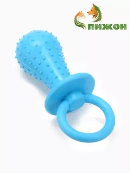 Игрушка жевательная «Пустышка для малышки», TPR, 14.5 см, голубая