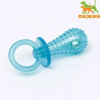 Игрушка жевательная «Соска» прозрачная, PP, 9.5 см, синяя
