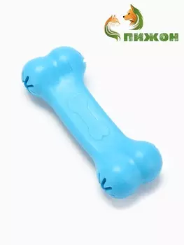 Игрушка жевательная «Вкусная кость» с отверстиями для лакомств, TPR, 11 см, голубая