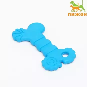 Игрушка жевательная «Завитушки», TPR, 10 см, голубая