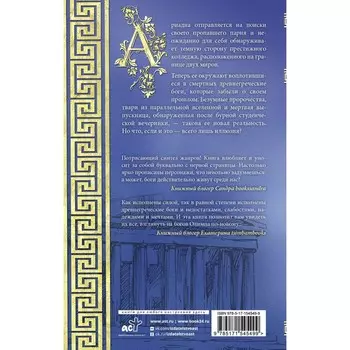 Иллюзия бога. Штейн А.