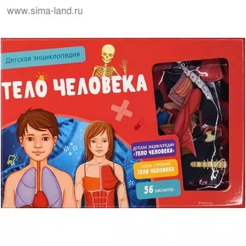 Интерактивная детская энциклопедия с магнитами «Тело человека» (в коробке)