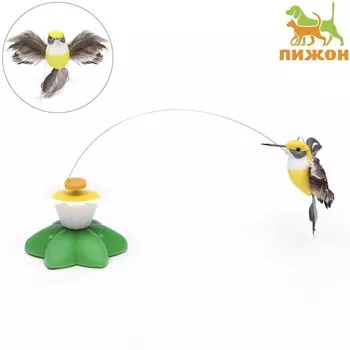 Интерактивная игрушка-дразнилка для кошек "Колибри"