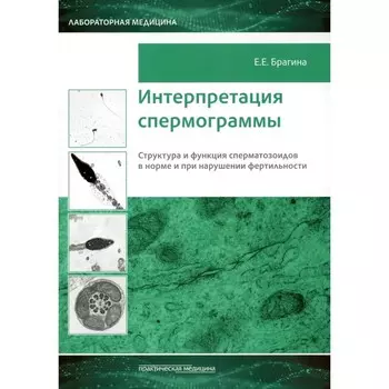 Интерпретация спермограммы. Структура и функция сперматозоидов в норме и при нарушении фертильности. Брагина Е.Е.
