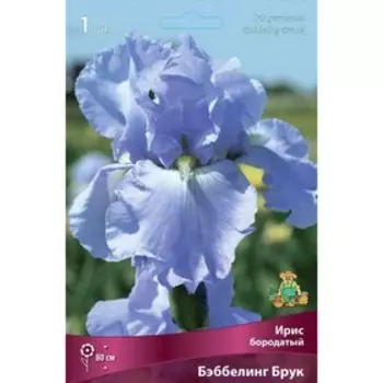 Ирис бородатый "Бэббелинг Брук ", 1 шт, р-р I, Весна 2025