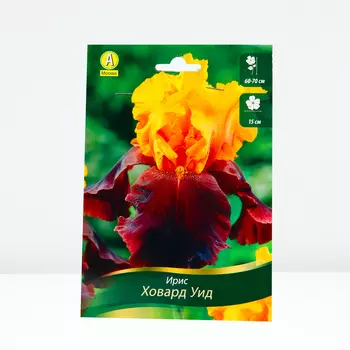 Ирис бородатый Ховард Уид, 1 шт, Весна 2024