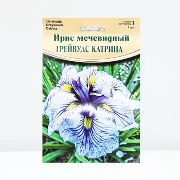 Ирис "Greywoods Catrina", р-р I, 1 шт, Весна 2024
