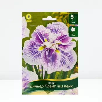 Ирис мечевидный Диннер Плейт Чиз Кейк, 1 шт, Весна 2024