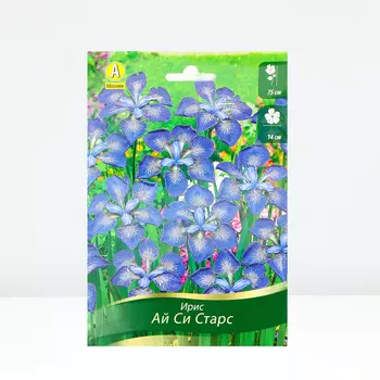 Ирис сибирский Ай Си Старс, 1 шт, Весна 2024