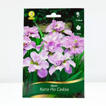 Ирис сибирский Кита Но Сейза, 1 шт, Весна 2024