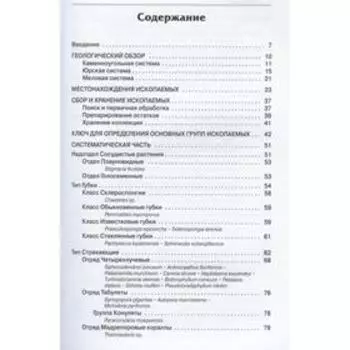 Ископаемые Московского региона. Шмаков А.