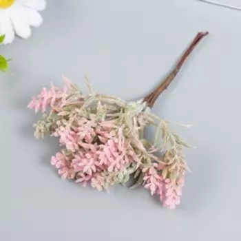 Искусственное растение для творчества "Котовник" 1 букет=6 веточек розовый 13 см