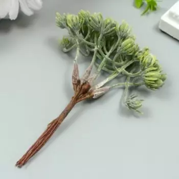 Искусственное растение для творчества "Ягодки" 1 букет=6 веточек зелёный 14 см