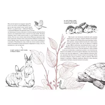 История кота, изменившего одну жизнь. Признание в любви. Агусти Л.