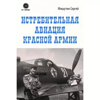 Истребительная авиация Красной Армии. Мишутин С.В.