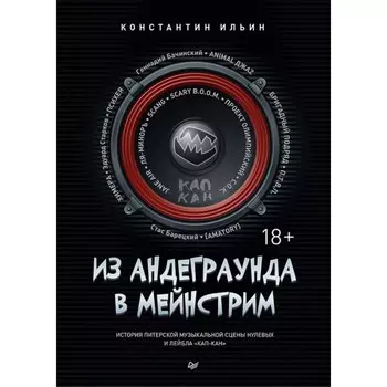 Из андеграунда в мейнстрим. Ильин К.