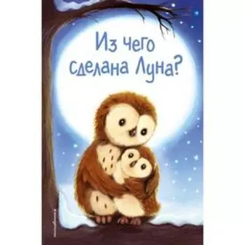 Из чего сделана Луна? (выпуск 7). Холли Вебб