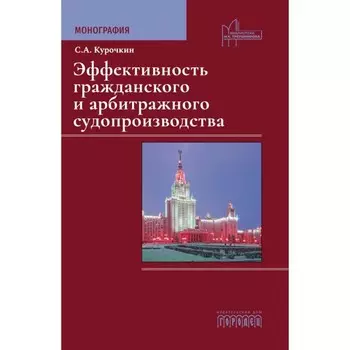 Эффективность гражданского и арбитражного судопроизводства. Монография. Курочкин С.А.