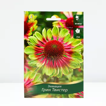 Эхинацея Грин Твистер, 1 шт, Весна 2024
