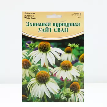 Эхинацея "White Swan", р-р I, 1 шт, Весна 2024