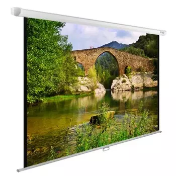 Экран Cactus 165x220см CS-PSWE-220x165-WT 4:3, настенно-потолочный, рулонный, белый