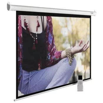 Экран Cactus 210x280см CS-PSME-280x210-WT 4:3 настенно-потолочный рулонный белый