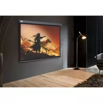 Экран Cactus 213x213см CS-PSW-213X213-SG, 1:1, настенно-потолочный, рулонный, серый