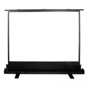Экран Cactus 90x120см CS-PSFLE-120X90, 4:3, напольный, рулонный