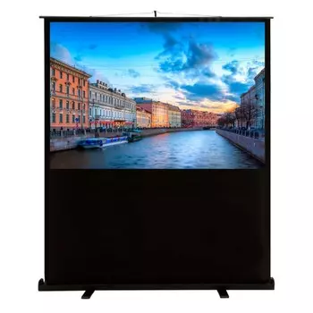 Экран Cactus 90x160см CS-PSFLCE-160X90, 16:9, напольный, рулонный
